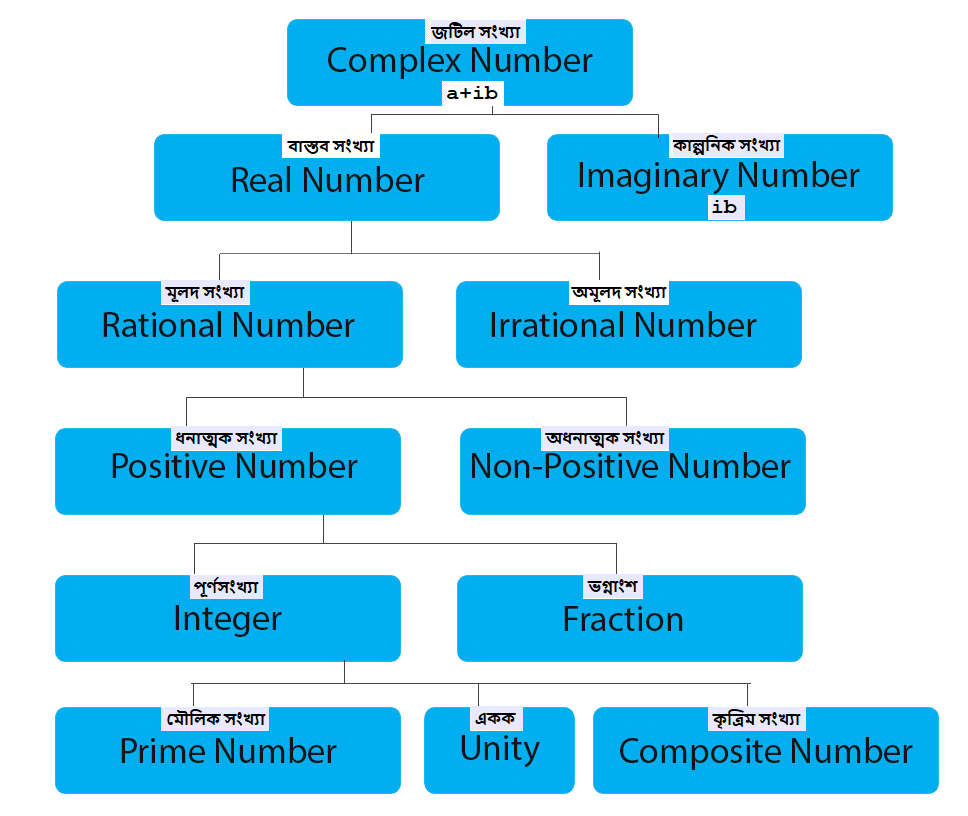 realNumber